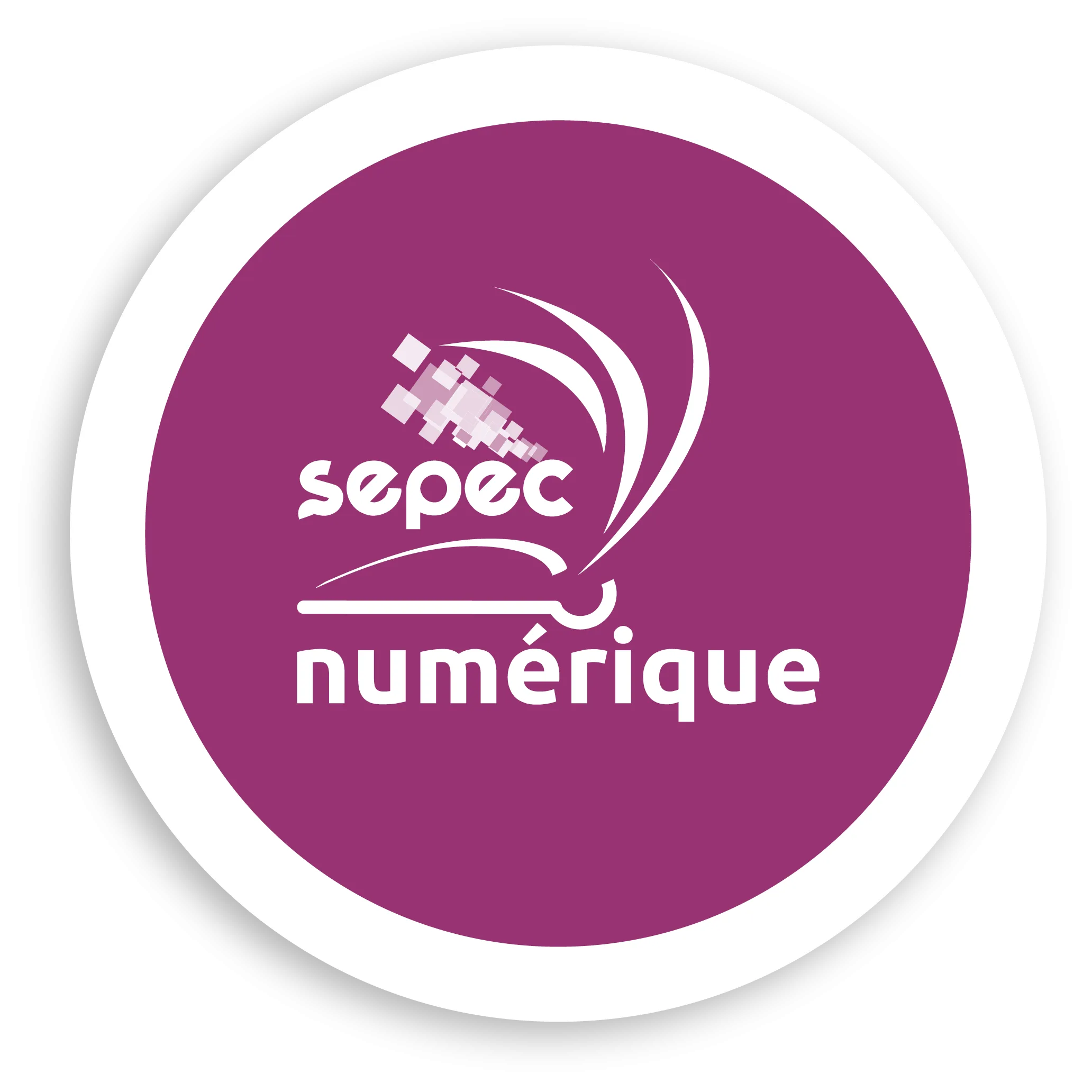 SEPEC NUM